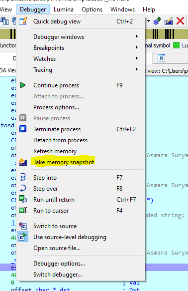 IDA PRO save decrypted string from memory – Cyber Security Architect ...